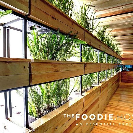 The Foodie Hostel Mexico City Exterior photo