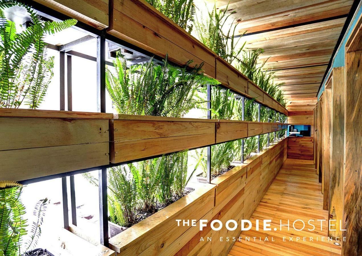 The Foodie Hostel Mexico City Exterior photo